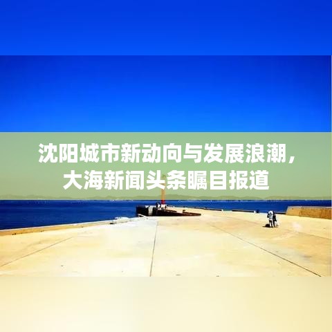沈阳城市新动向与发展浪潮，大海新闻头条瞩目报道