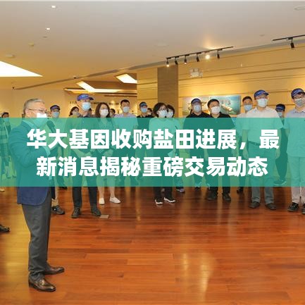 华大基因收购盐田进展，最新消息揭秘重磅交易动态