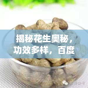 揭秘花生奥秘，功效多样，百度带你深入了解花生！