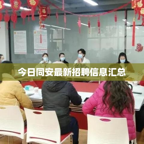 今日同安最新招聘信息汇总