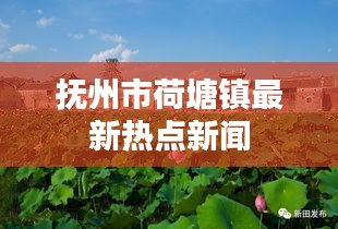 抚州市荷塘镇最新热点新闻