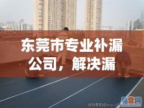 东莞市专业补漏公司，解决漏水问题的行业翘楚