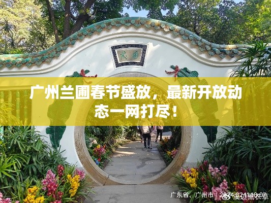 广州兰圃春节盛放，最新开放动态一网打尽！
