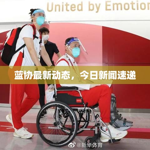 蓝协最新动态，今日新闻速递