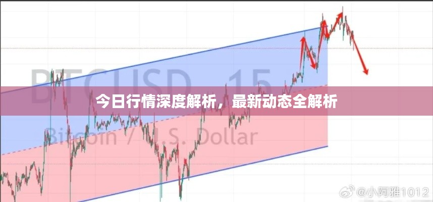 今日行情深度解析，最新动态全解析