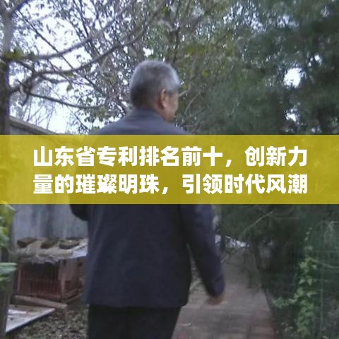 山东省专利排名前十，创新力量的璀璨明珠，引领时代风潮！