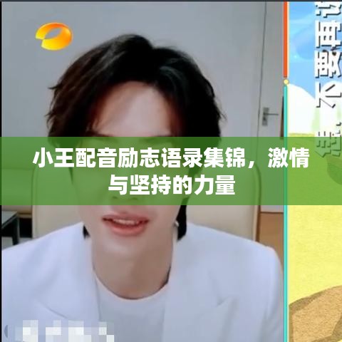 小王配音励志语录集锦，激情与坚持的力量