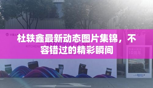 杜轶鑫最新动态图片集锦，不容错过的精彩瞬间