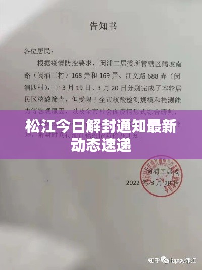 松江今日解封通知最新动态速递