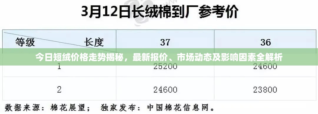 今日短绒价格走势揭秘，最新报价、市场动态及影响因素全解析