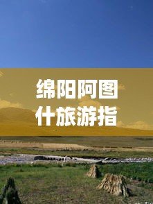 腾龙换鸟 第2页
