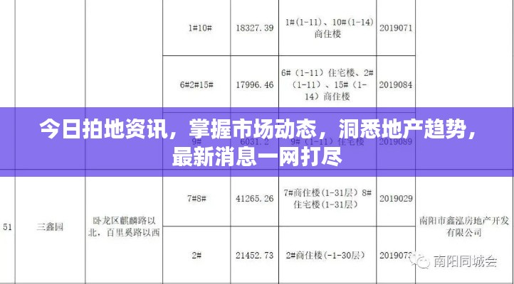 今日拍地资讯，掌握市场动态，洞悉地产趋势，最新消息一网打尽
