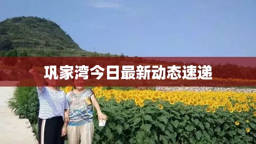 巩家湾今日最新动态速递