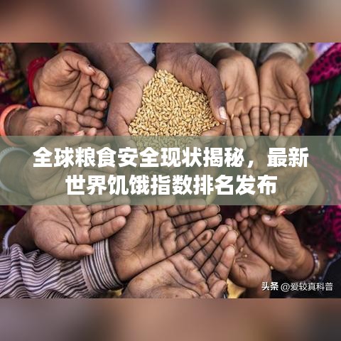 全球粮食安全现状揭秘，最新世界饥饿指数排名发布