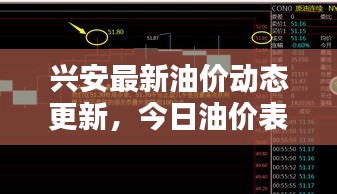 兴安最新油价动态更新，今日油价表、影响因素全解析