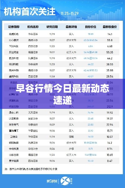早谷行情今日最新动态速递