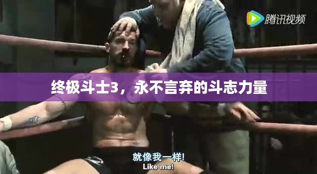 终极斗士3，永不言弃的斗志力量