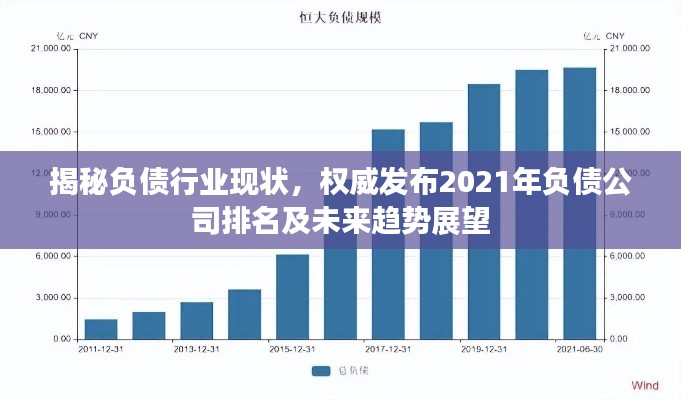 揭秘负债行业现状，权威发布2021年负债公司排名及未来趋势展望