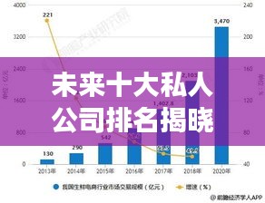 未来十大私人公司排名揭晓，行业巨头展望与前景分析