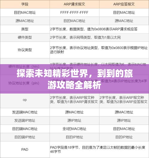 探索未知精彩世界，到到的旅游攻略全解析