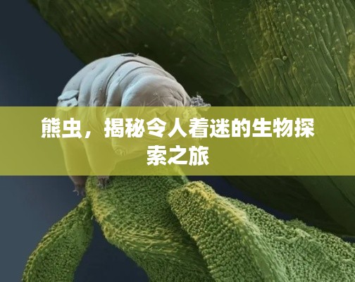 懵懵懂懂 第2页