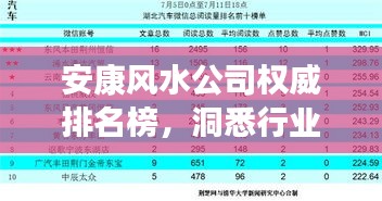 安康风水公司权威排名榜，洞悉行业影响力之巅