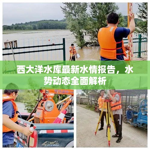 西大洋水库最新水情报告，水势动态全面解析