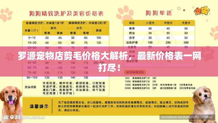 罗源宠物店剪毛价格大解析，最新价格表一网打尽！