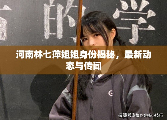 河南林七萍姐姐身份揭秘，最新动态与传闻