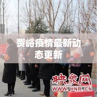贾峪疫情最新动态更新