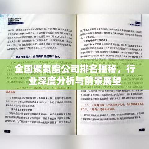 全国聚氨酯公司排名揭秘，行业深度分析与前景展望