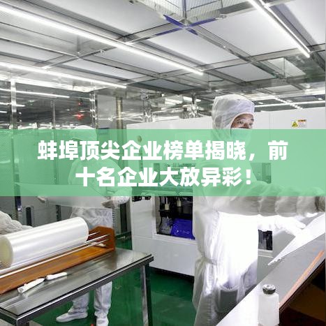 蚌埠顶尖企业榜单揭晓，前十名企业大放异彩！