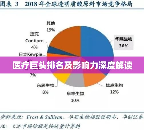 医疗巨头排名及影响力深度解读