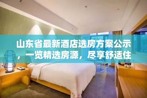 山东省最新酒店选房方案公示，一览精选房源，尽享舒适住宿体验