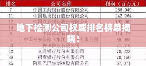 地下检测公司权威排名榜单揭晓！