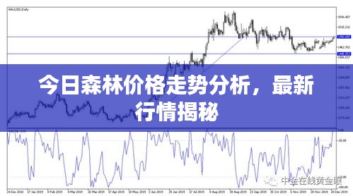 今日森林价格走势分析，最新行情揭秘