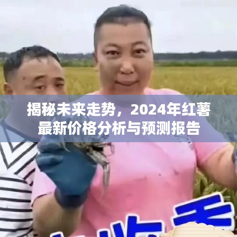 揭秘未来走势，2024年红薯最新价格分析与预测报告