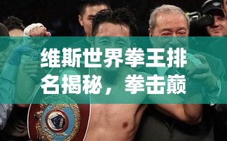 维斯世界拳王排名揭秘，拳击巅峰之战的荣耀席位