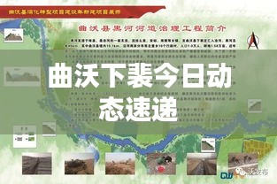 曲沃下裴今日动态速递