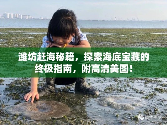 潍坊赶海秘籍，探索海底宝藏的终极指南，附高清美图！