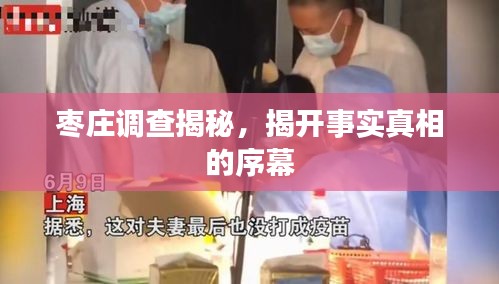 枣庄调查揭秘，揭开事实真相的序幕