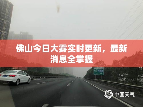 佛山今日大雾实时更新，最新消息全掌握