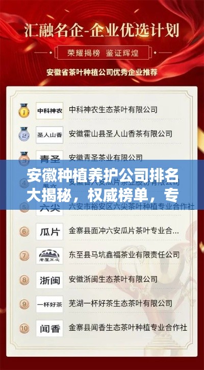 安徽种植养护公司排名大揭秘，权威榜单，专业品质之选！