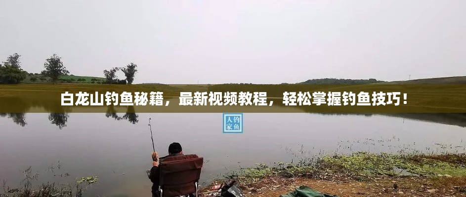 白龙山钓鱼秘籍，最新视频教程，轻松掌握钓鱼技巧！