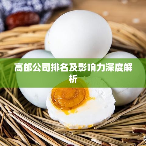 高邮公司排名及影响力深度解析