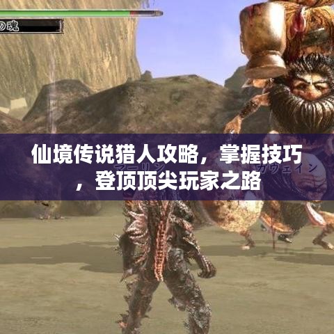 仙境传说猎人攻略，掌握技巧，登顶顶尖玩家之路