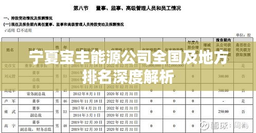 宁夏宝丰能源公司全国及地方排名深度解析