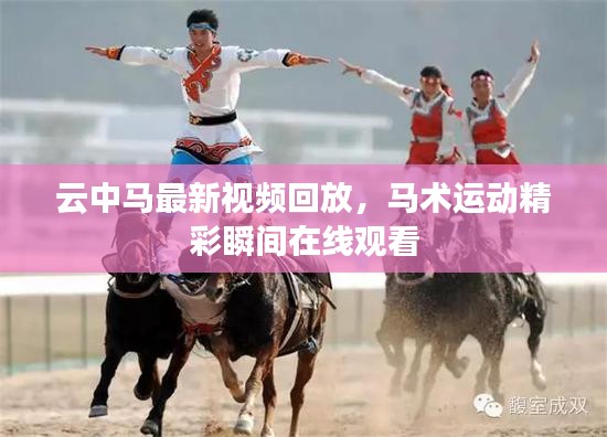 云中马最新视频回放，马术运动精彩瞬间在线观看