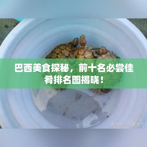 巴西美食探秘，前十名必尝佳肴排名图揭晓！