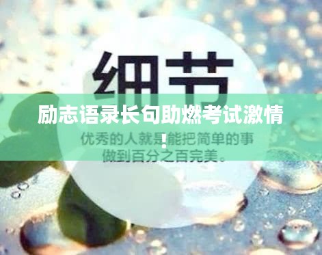 励志语录长句助燃考试激情！